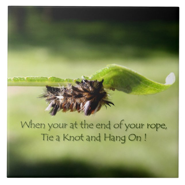 "Bind en fnurra, och hängningen på" keramiska Kakelplatta (Framsidan)