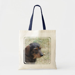 Binda den Haired Daschund hunden Tygkasse
