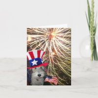 Binda foxterriern som firar independence day