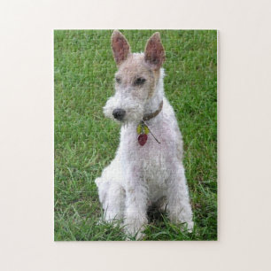 binda foxterriersitta pussel