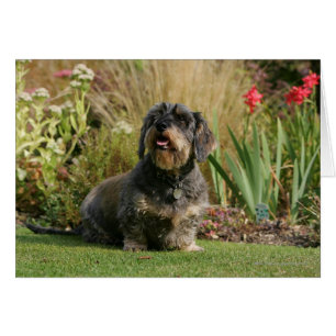 Binda-haired standard tax hälsningskort