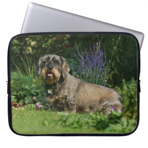 Binda-haired standard taxsitta laptop sleeve