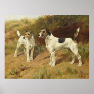 Binda Haired Terriers vid Thomas blinkar Poster