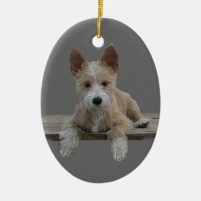 Binda portugisiska Podengo Pequeno Julgransprydnad Keramik (Framsidan)