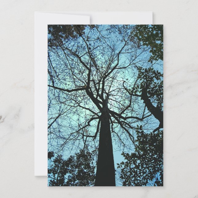 Bindad Skogen Halloween-inbjudan Inbjudningar (Framsida)