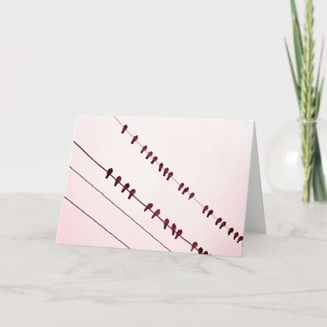 "Binder Redbirds" på Helgkort (Framsida)