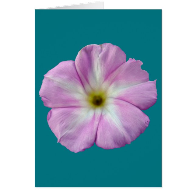 Bindweed #1 hälsningskort (Framsidan)