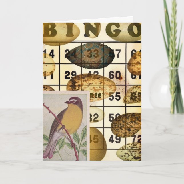 Bingo Bird Kort (Framsida)