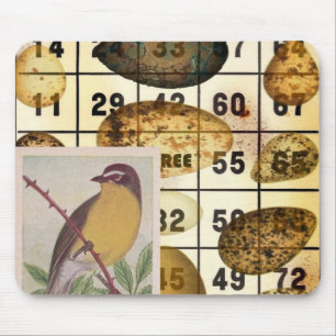 Bingo Bird Musmatta