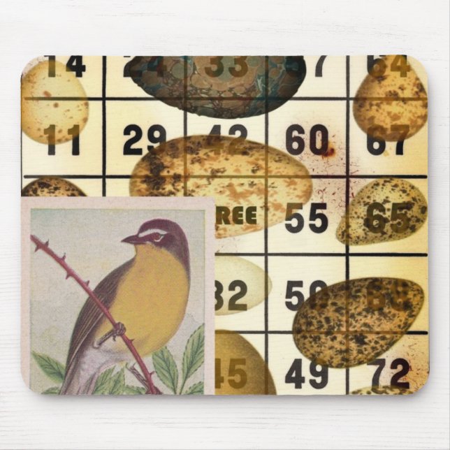 Bingo Bird Musmatta (Framsidan)