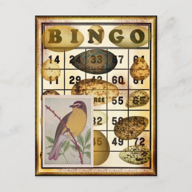 Bingo Bird Vykort (Framsida)