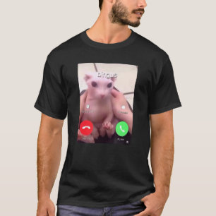 Bingus kallar min heliga sfinxkatt 1 t shirt