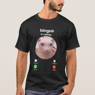 Bingus ringer den hårlösa sphynxkatten Bingus Cat T Shirt