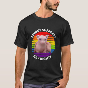 Bingus stöder Gay rights Hairless Sphinx Bingus T Shirt
