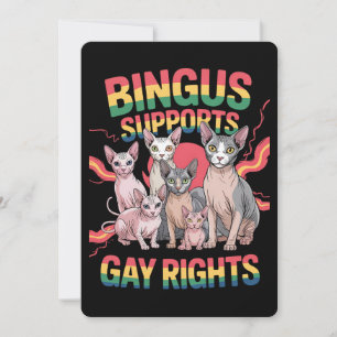 Bingus stöder Pridet Gay rights Sphynx Cat LGBTQ Inbjudningar