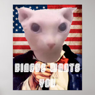BINGUS VILL HA DIG POSTER
