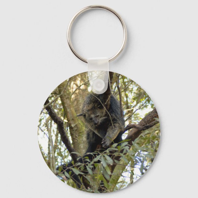 Binturong Bearcat Keychain Nyckelring (Framsida)