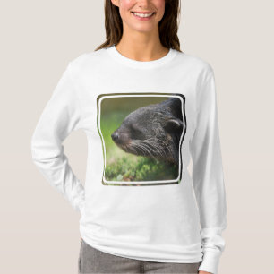 Binturong björn Hoody Tee Shirt
