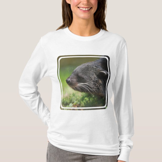 Binturong björn Hoody Tee Shirt (Framsida)