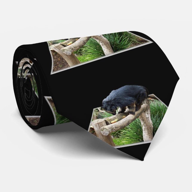 Binturong som står på en träjärns, slips (Rullad)