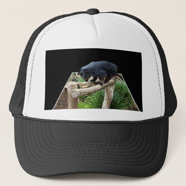 Binturong Stående På En Träräcke, Keps (Framsida)