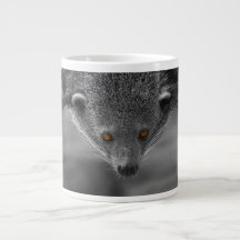 Binturong Tittar på dig