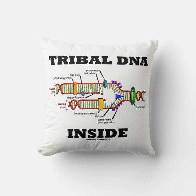 Bio-antropologi vid DNA-replikering i stamceller Kudde (Framsida)