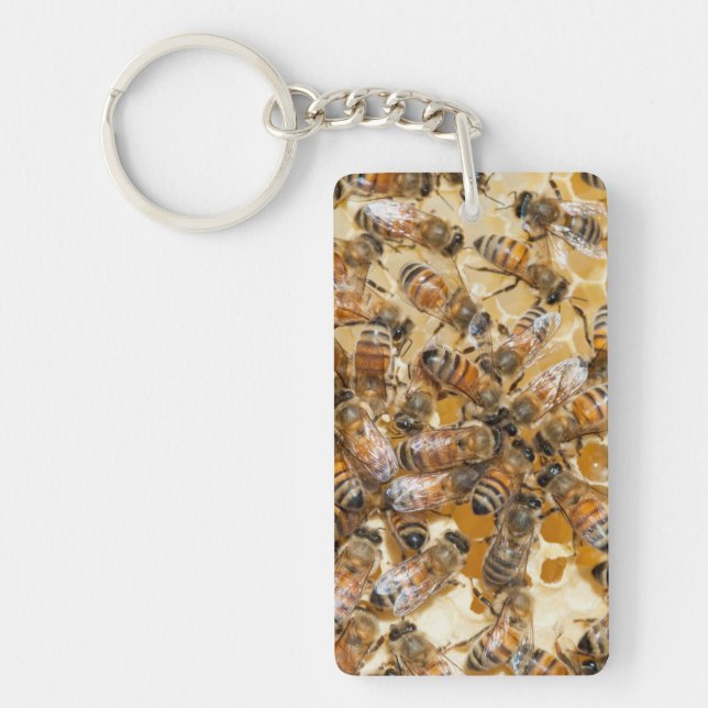 Biodling på Arlos Honey Farm (Framsidan)