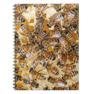 Biodling på Arlos Honey Farm Anteckningsbok Med Spiral