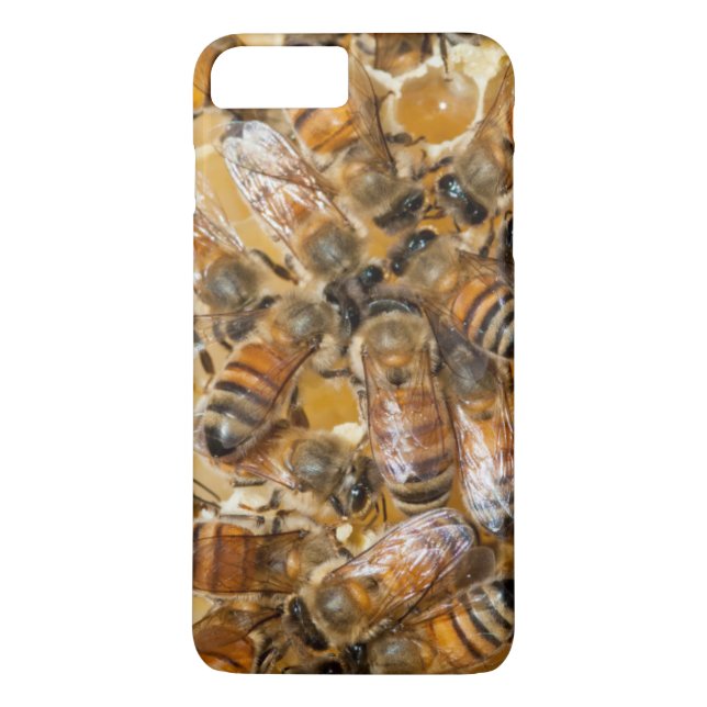 Biodling på Arlos Honey Farm Case-Mate iPhone Skal (Baksida)