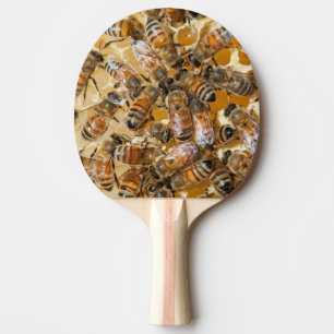 Biodling på Arlos Honey Farm Pingisracket