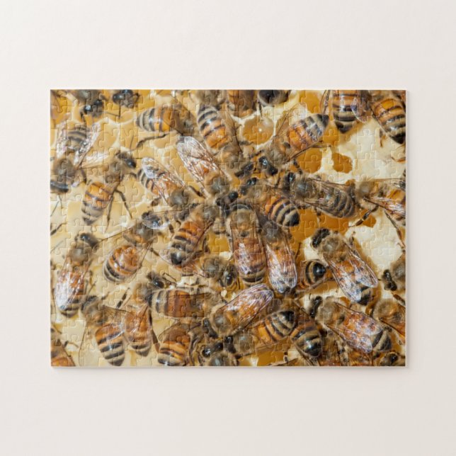 Biodling på Arlos Honey Farm Pussel (Horisontell)