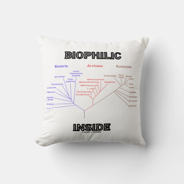 Biofili Inside Phylogene Livets träd Biology Kudde (Framsida)