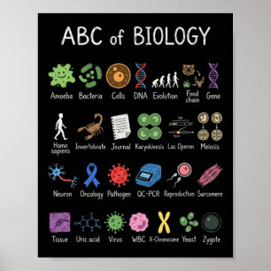 Biologi Alfabet Vetenskap Utbildning Lärare Studen Poster