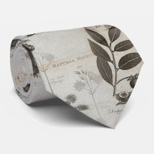 biologi för dodohistorienatur