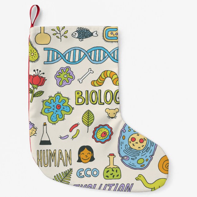 Biologi. Hand plockade. illustration av vintagen.  Liten Julstrumpa (Framsidan)