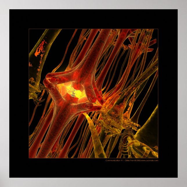 Biologi: kommunikation #1 poster (Framsidan)