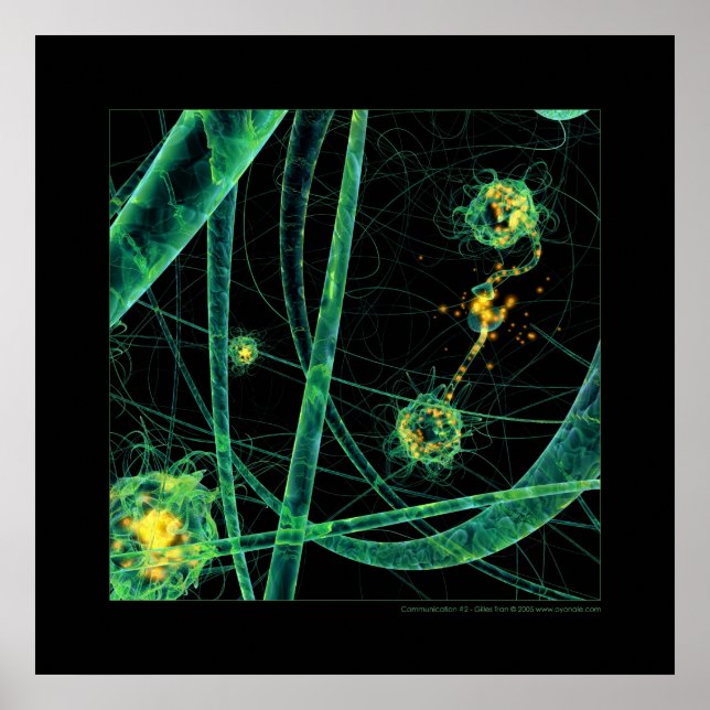 Biologi: kommunikation #2 poster (Framsidan)