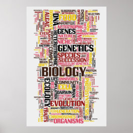 Biologi Ordle nr 11 Poster