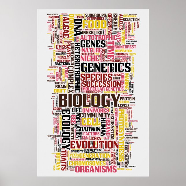 Biologi Ordle nr 11 Poster (Framsidan)