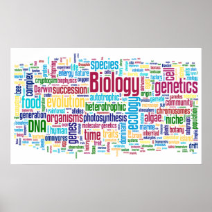 Biologi Ordle nr 13 Poster