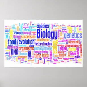 Biologi Ordle nr 17 Poster