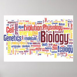 Biologi Ordle nr 4 Poster