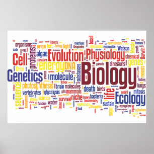 Biologi Ordle nr 4 Poster