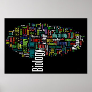 Biologi Ordle nr 5 Black Poster