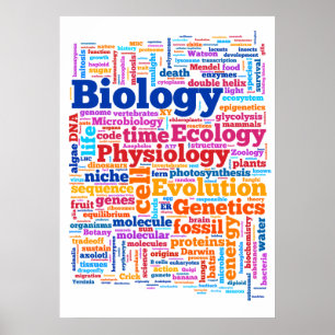Biologi Ordle nr 7 Poster
