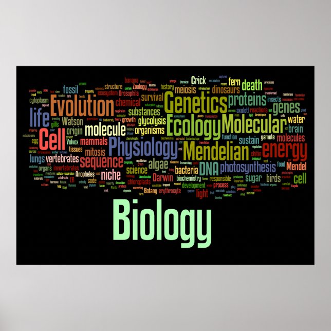 Biologi Ordle nr 8 Black Poster (Framsidan)