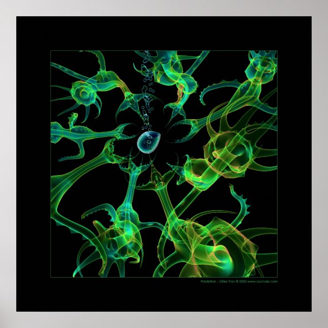 Biologi: predation poster (Framsidan)