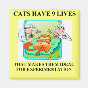 biologiexperimentskämt magnet