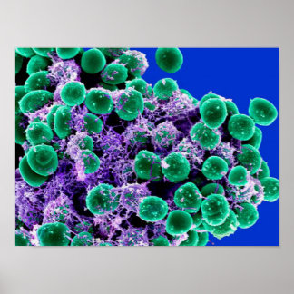 biologimikrobiologi - abstrakt konst poster canvas